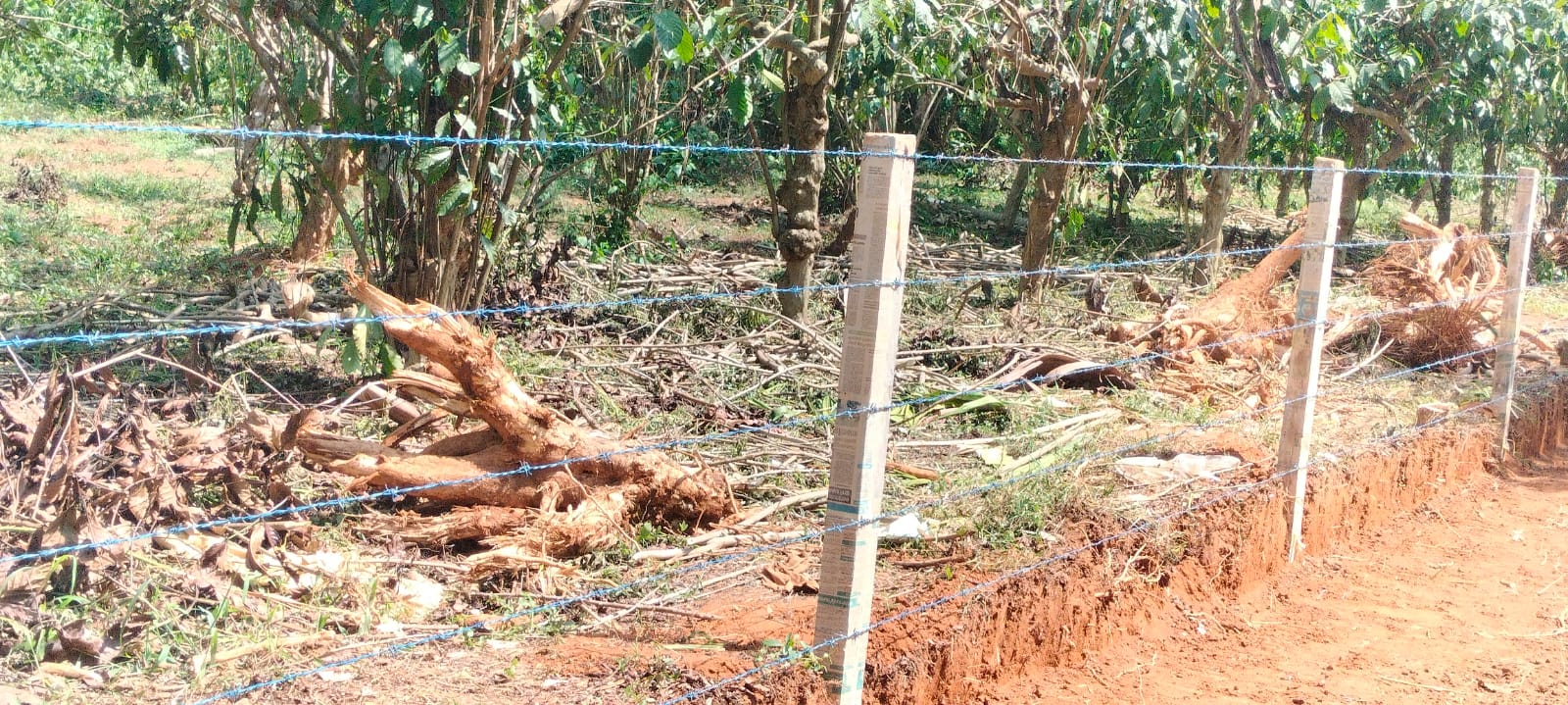 Strong & Reliable Fencing Solutions by Dr. Fence: The Power of Kambiveli for Modern Security